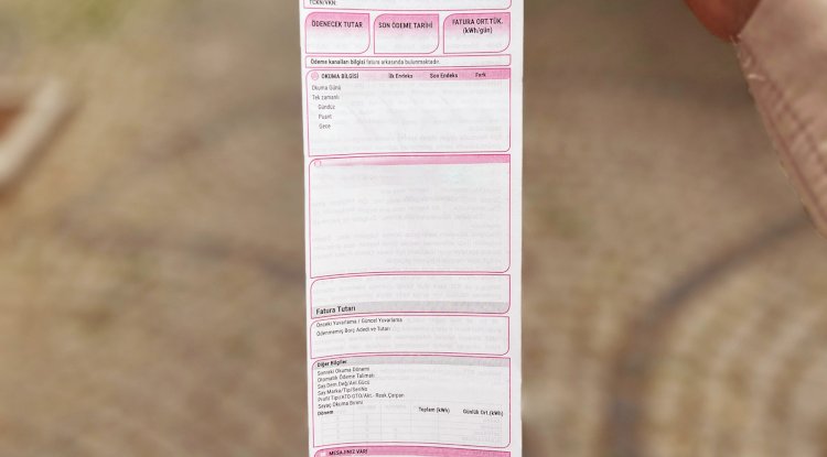 Uludağ Elektrik’ten Pembe Fatura uygulaması
