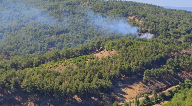 Türkarslan’dan tesis incelemesi